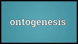 Ontogenesis Meaning