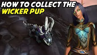 How to collect the Wicker Pup - Treasures of Drustvar