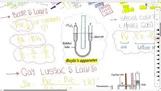 revision chapter six (boyle, charles and jollys appratus)