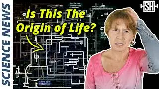Life Began Much Faster Than We Thought
