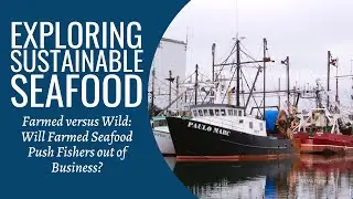 Exploring Sustainable Seafood &ndash; BONUS: Certifications and Consumer Preference for Sustainability