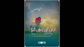 Sad Punjabi Poetry WhatsApp Status || Shoaib Anjum Thaheem || Thaheem Production Dhora Status 2022