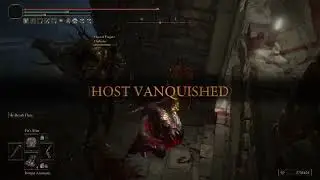 Death Blighting People Everyday Until Shadow Of The Erdtree Comes Out: Day 145