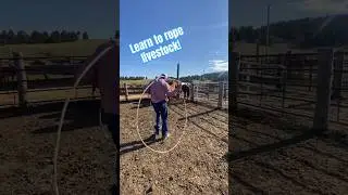 How To Throw A Lasso Rope #country #horse #cowboy