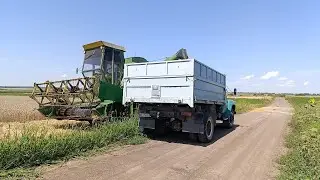 Уборочная пшениці 3 серпня комбайном Джон дирр 952 і зіл 130