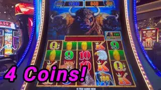Buffalo Lightning Link - 4 Coin Trigger and Two 3 Coin Re-Triggers!