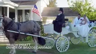 HOOF-it&reg; Natural Flex Composite Horseshoes - Brazos Carriages