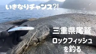 三重県尾鷲の海がざわついた日！ヒット連発のロックフィッシュゲーム！【ベイト接岸】