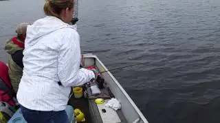 Saganaga Lake Monster Walleye
