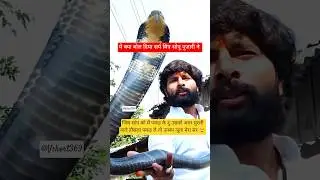 क्या सही है ?🤔@MurliwaleHausla @eksaharanews #snake #shortfeeds #shorts #youtubeshorts#viral