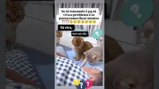 RISADAS GARANTIDAS: COMPILA&Ccedil;&Atilde;O DE MOMENTOS IMPAG&Aacute;VEIS 🤩🤣