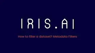 How to filter a dataset? Metadata Filters | Iris.ai Researcher Workspace