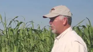 Using Multspecies Cover Crops to Improve Soil Health at Swallow Hill Farm