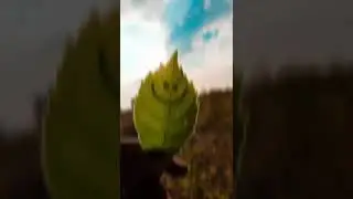 mobile micro photography subscribe my channel for more related videos