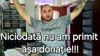 CEA MAI MARE DONAȚIE! Am primit 40 tarantule și un prădător suprem!