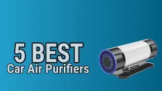 5 Best Car Air Purifiers