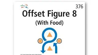 376   Offset Figure 8 With Food (with scoring)