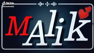 Malik hasnain