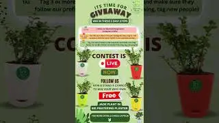 Jade Plant Giveaway #shorts #gardening #plants #jade #jadeplant #giveaway #giveawayalert #giveaways