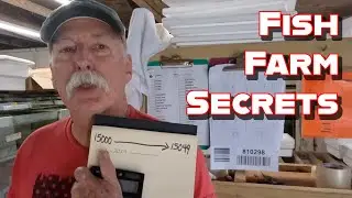 Sharing Secrets for Farming African Cichlids