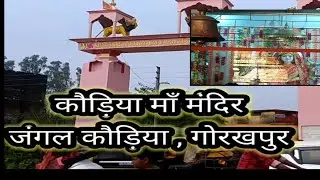 Kaudiya Temple jungle kaudiya pooja Time प्राचीन जंगल कौड़िया मंदिर गोरखपुरJai mata di You tube king