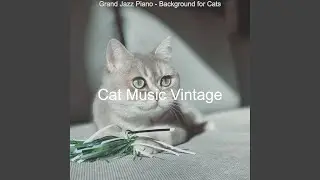 Romantic Cats