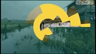 episod 1!!! jaring ikan di sawah !!! #subuh-subuh