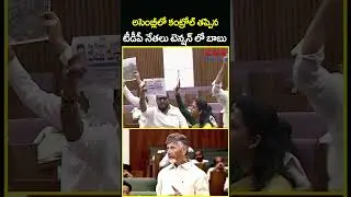 అసెంబ్లీలో కంట్రోల్ తప్పిన టీడీపీ నేతలు టెన్షన్ లో బాబు | High Tension In Assembly | CVR News
