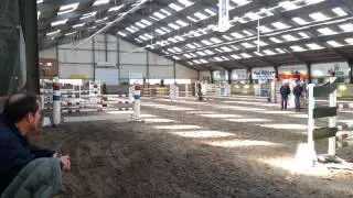 Warempel (Madison x Highline)