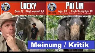 Viele Fehler und unklare Definitionen bei 