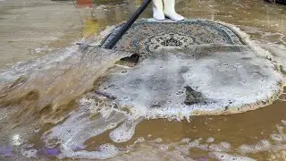 you will be shocked when you see how much dirt was on this carpet