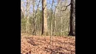 2015 Turkey Hunt!