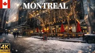 Walking Downtown Montreal at &minus;19&deg;C ❄️ | Mall Les Cours Mont-Royal & Arcade | Snowy City Walk 4K 🇨🇦 