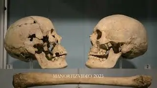 Museo Archeologico Nazionale di Campli   The National Archaeological Museum of Campli, Abruzzo