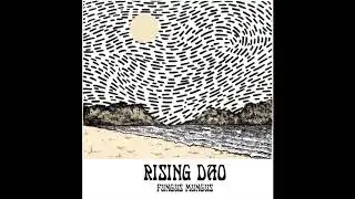 Rising Dao - Fungus Mungus (Full Album 2018)