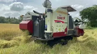 SUMO World Combine Harvester in Action | Paddy Field Harvesting Machine 2025