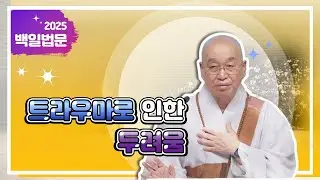 2186. 트라우마로 인한 두려움 #법륜스님 #법륜스님즉문즉설 #트라우마 #마음의상처 #두려움 #트라우마극복