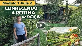 Conhecendo a rotina na roça