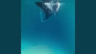 sumu