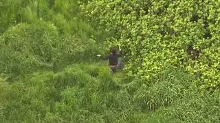 Couple hiding after fleeing Clackamas Co. crash arrested