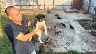 Playing With Puppies Will Instantly Make You Feel Happier 🐶❤️