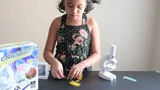 MICROSCOPE WITH LIGHT SOURCE | AGES 8+ | 3 MAGNIFICATION 100X 200X 450X | #STEM | #SCIENCE | #ENGINE