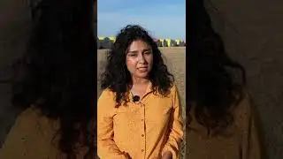 Local farmers celebrate exceptional cotton harvest after challenging start