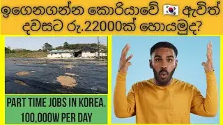 කොරියාවේ අර්ධකාලීන රැකියා 2025 |  Korean part time jobs | #korea #koreanstudentvisa #fyp #viral
