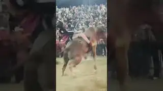 (HACE UN A&Ntilde;O) CHILITOS DE SAN AGUST&Iacute;N 🆚 PONTE ATENTO (01/01/25) #PantanoRanchFilms #jaripeo
