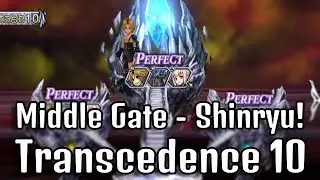 Transcendence 10 SHINRYU Run! Screw Kam' I Got A Tidus!  [DFFOO JP]