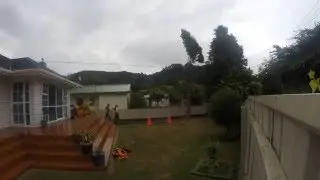 Time-lapse of a Rimu Tree Dismantle