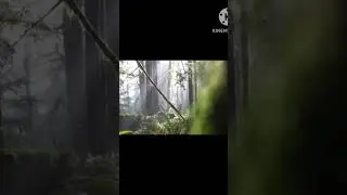 save forests/tree plantation motivation video/ save trees /#tree #shorts #motivation