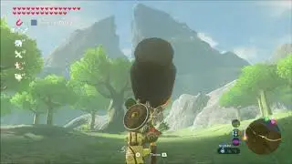 Zelda botw Big Pot Trot Challenge