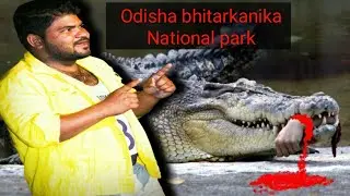 Bhitarkanika National Park || 2023  Bhitarkanika || National Park Tour || ଭିତରକନିକା ନ୳୲ସ୍ ନ୲ଲ ପାର୍କ